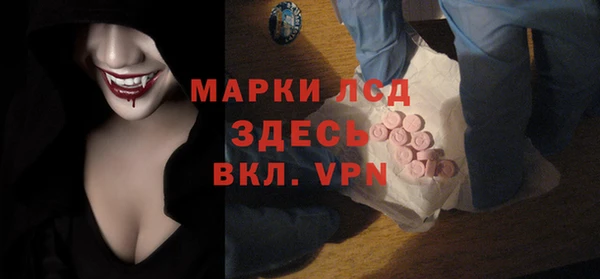 ECSTASY Алзамай