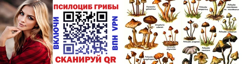 omg зеркало  Чернушка  Галлюциногенные грибы прущие грибы 